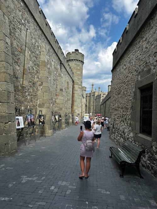 Живилюбитвори 2025. Крымялта. 03