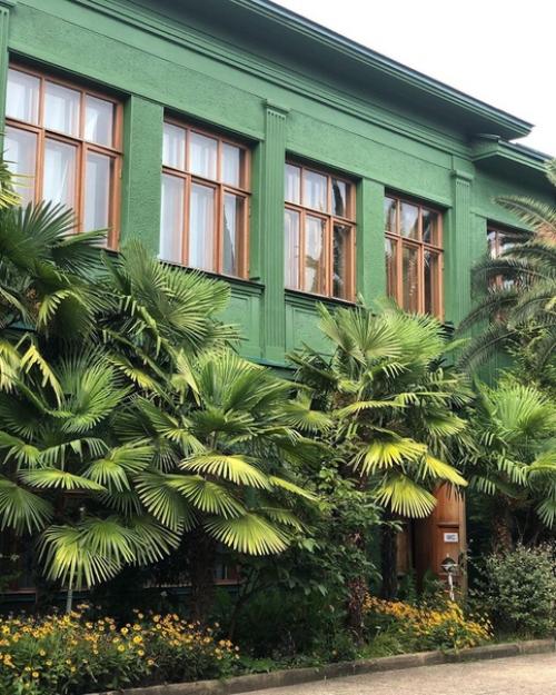 Я побывала на Даче Сталина в Сочи. 08