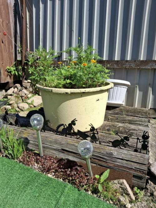 Дом моей бабушки, где прошло детство. 06