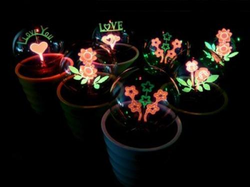 На ЗАКАЗ.  Ночник Flower Light? 01