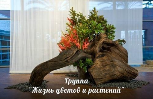 Рутарий в интерьере.