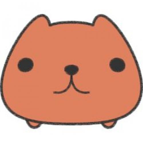 *?  *?  Blackpink on Mini jp Magazine. 06