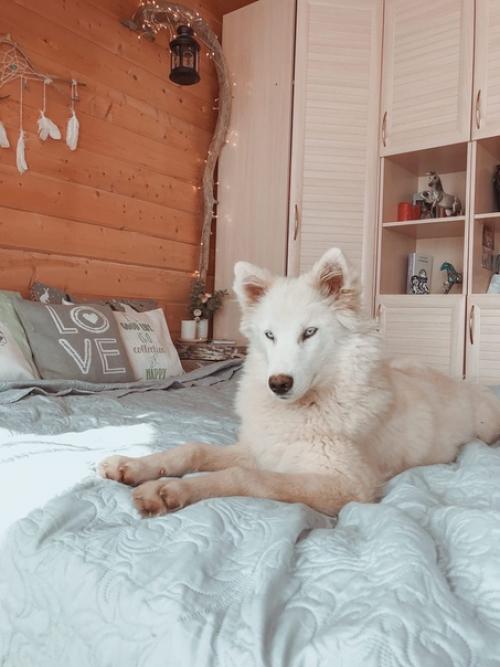 Вероника, понимаю, что вопрос может быть неуместный, но крайне болезненный для меня. 05