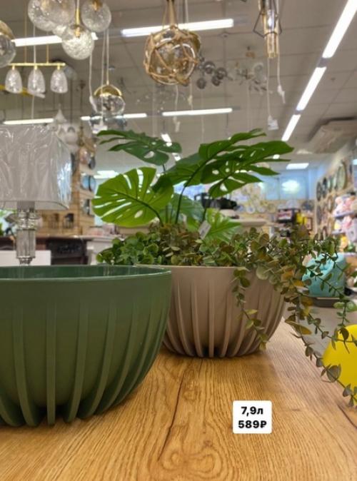 Сохраните частичку тепла и лета в вашем доме с этими стильными кашпо. 02