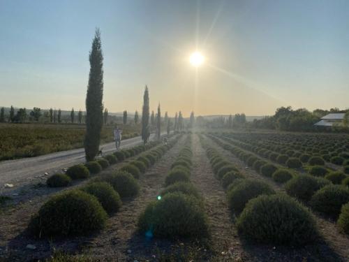 1 место в номинации: Кухня в Интерьере Квартиры. 03