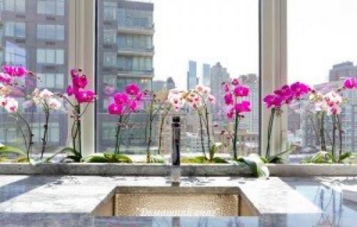 Размещение орхидей в интерьере.