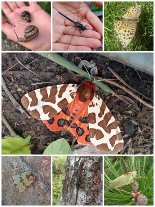 Меня зовут Дарья, мне 20 лет, я живу в просторном и спокойном алтайском крае. 06