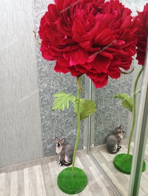 Скоро замечательный праздник день учителя (5 октября). 02