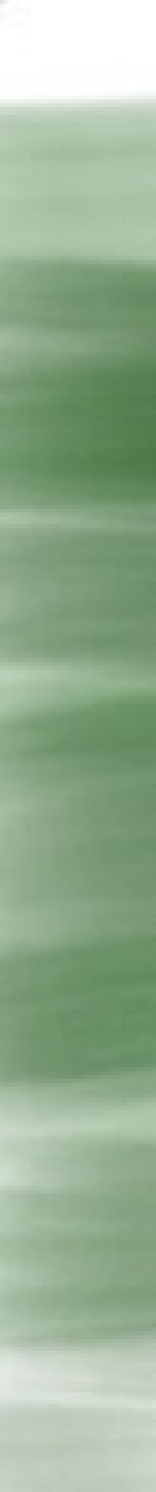 au, где Шона поставили перед выбором. 04