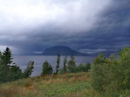 Настало время делиться прекрасным. 03