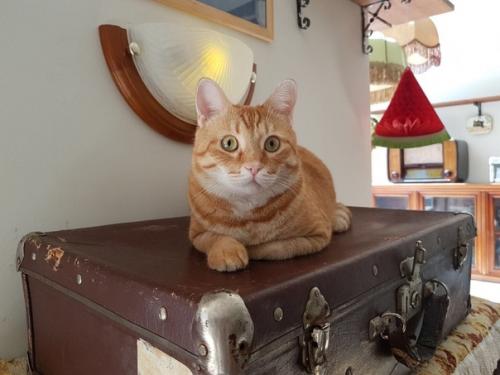 У нас просто - таки новость года. 01