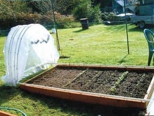 Безумно крутые идеи для парников. 02