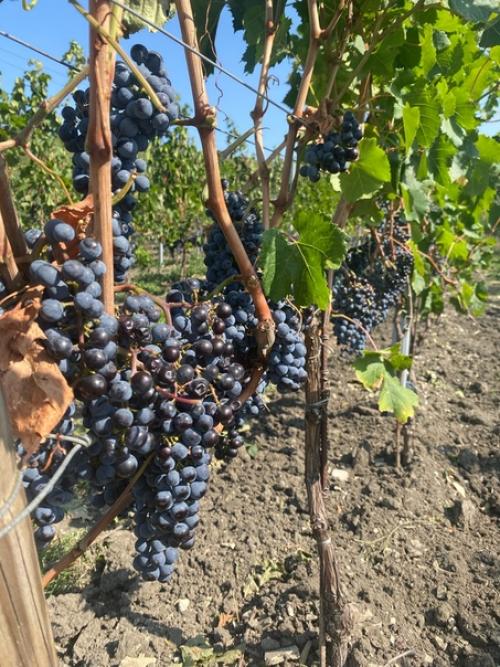 1 место в номинации: Кухня в Интерьере Квартиры. 02