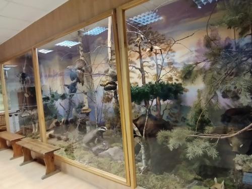 С третьего раза, но всё же побывала я в краеведческом музее г. белая Холуница. 08