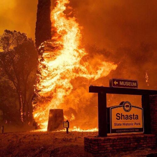 au, где Шона поставили перед выбором. 05