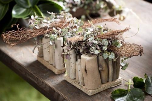 Церопегия.  Церопегия не самый популярный комнатный цветок. 01