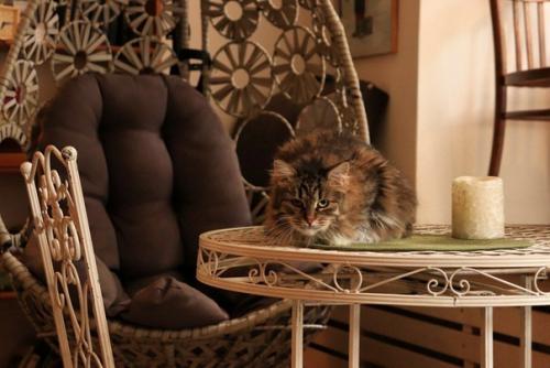 У нас просто - таки новость года. 03