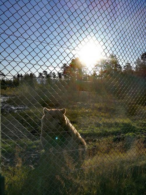Настало время делиться прекрасным. 01