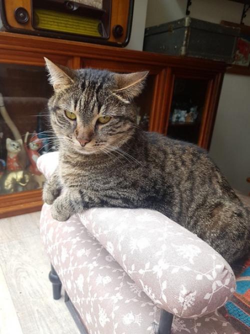 У нас просто - таки новость года. 02