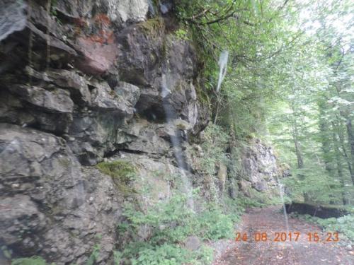 Всем добрый день. 02