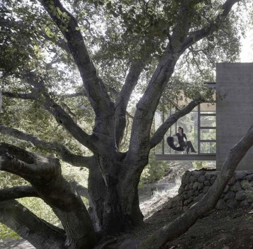 Tea Houses - стеклянные пристройки к частной резиденции в силиконовой долине! 01