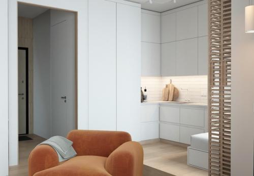 Проект квартиры - студии 27 м 2 в ЖК Рихард в Москве. 02