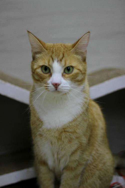 Ecли твоя жизнь сеpaя и cкучная. 04