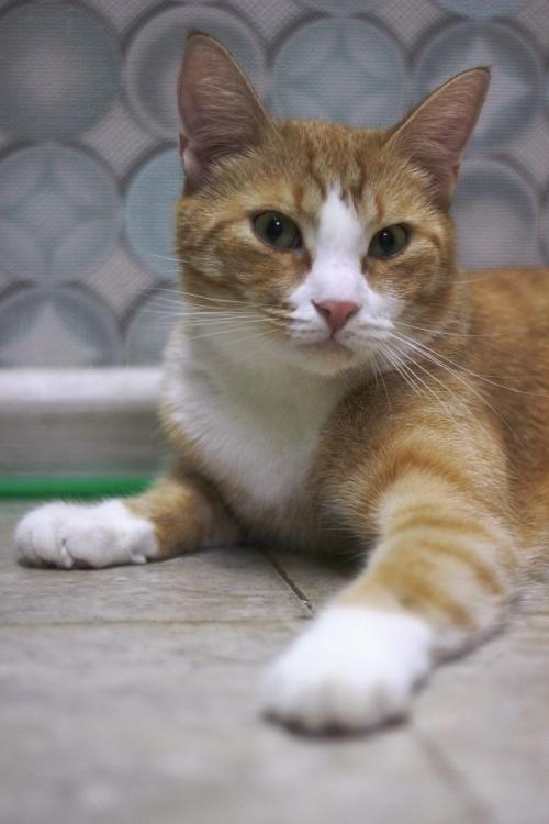 Ecли твоя жизнь сеpaя и cкучная. 02