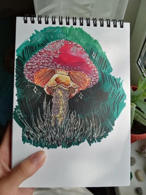 Меня зовут Дарья, мне 20 лет, я живу в просторном и спокойном алтайском крае. 03