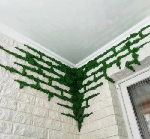 Что такое фитодизайн помещений? 01