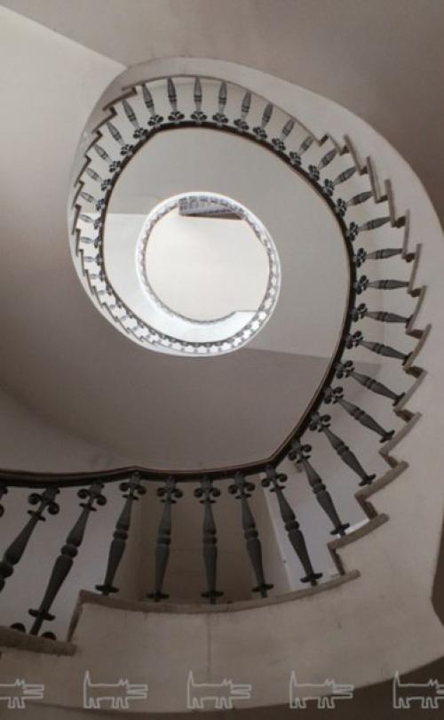 10 невероятных винтовых лестниц в домах и особняках старого Петербурга. 08