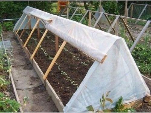 Безумно крутые идеи для парников. 01