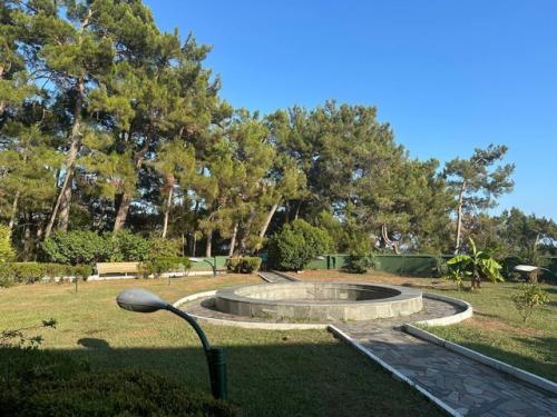 Поездка в Абхазию. 05