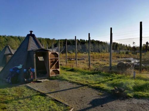 Настало время делиться прекрасным. 02