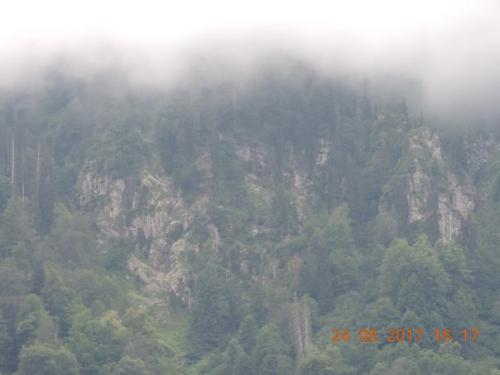 Всем добрый день. 04