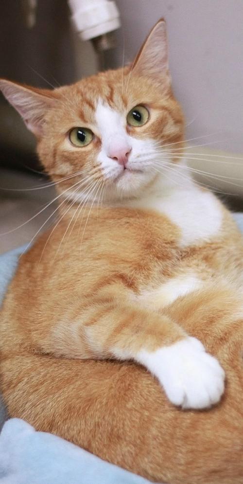 Ecли твоя жизнь сеpaя и cкучная. 03