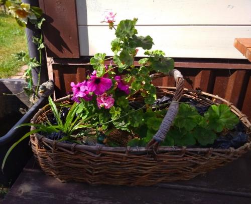 Выбросить или сохранить? 01