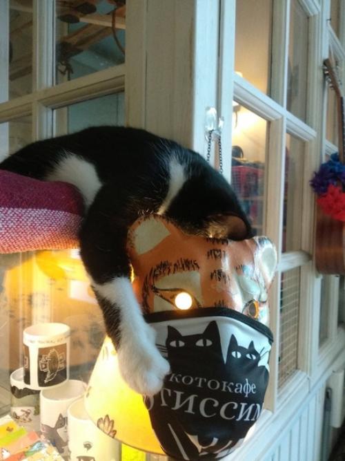 У нас просто - таки новость года. 04