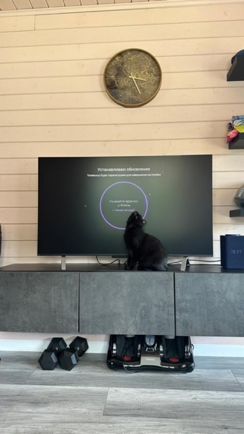 Почти три недели прошло с тех пор, как я купил себе яндекс тв станцию про с Алисой. 08