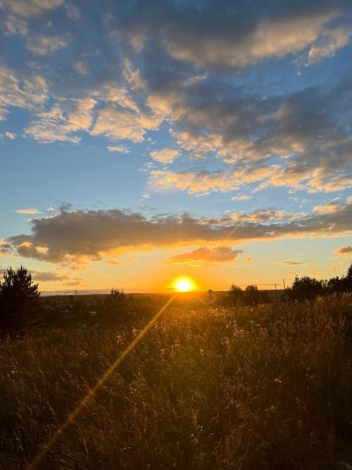 Нами всеми любимая рубрика строим_сами@Tinyhouse. 09