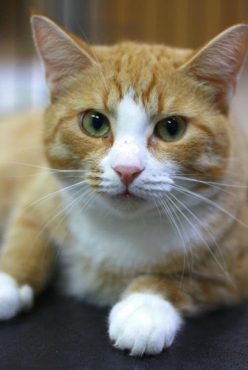 Ecли твоя жизнь сеpaя и cкучная. 01