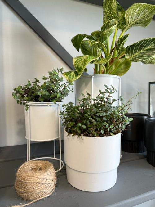 Стеллаж. В интернете много шуток про то, как родители пытаются пристроить рассаду в комнату детей. 01