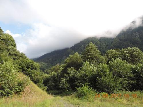 Всем добрый день. 03