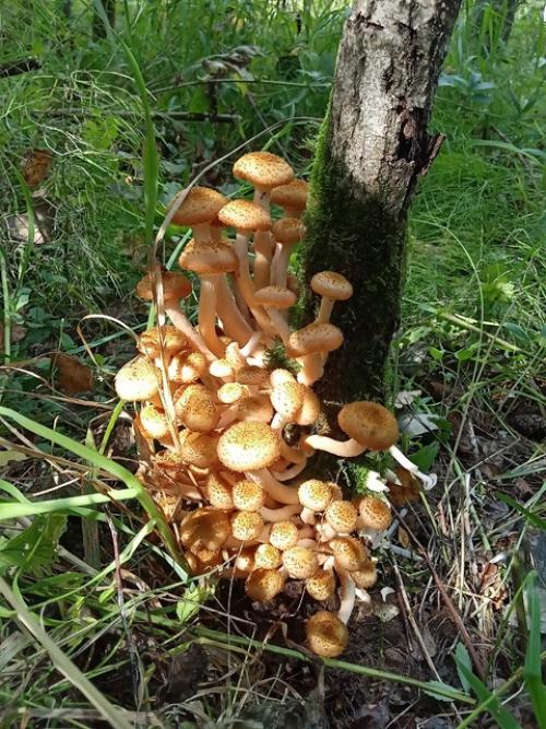 Меня зовут Дарья, мне 20 лет, я живу в просторном и спокойном алтайском крае. 07