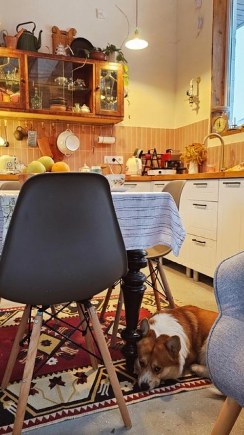 Тут давеча на дачу новые старые стулья привезли.