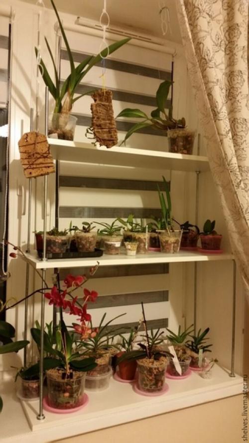 Привет, с этого года стартует рубрика Зелёный Интерьер. 04