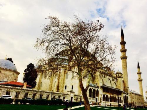 Османский стиль придумал не синан. 09