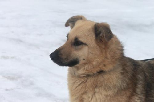 Очаровашка грейси в поиске самых лучших хозяев! 01