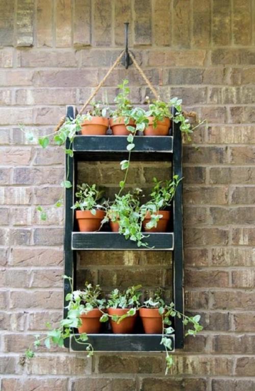 Привет, с этого года стартует рубрика Зелёный Интерьер. 08