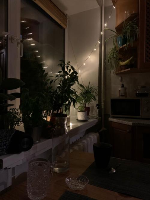 жсп _Москва.  Алина.  22. гетеро. 04